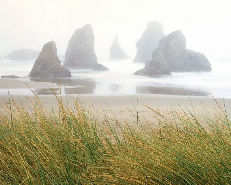 Foggy Beach with Sea Stacks — Green, Misty, Morning, Photograph