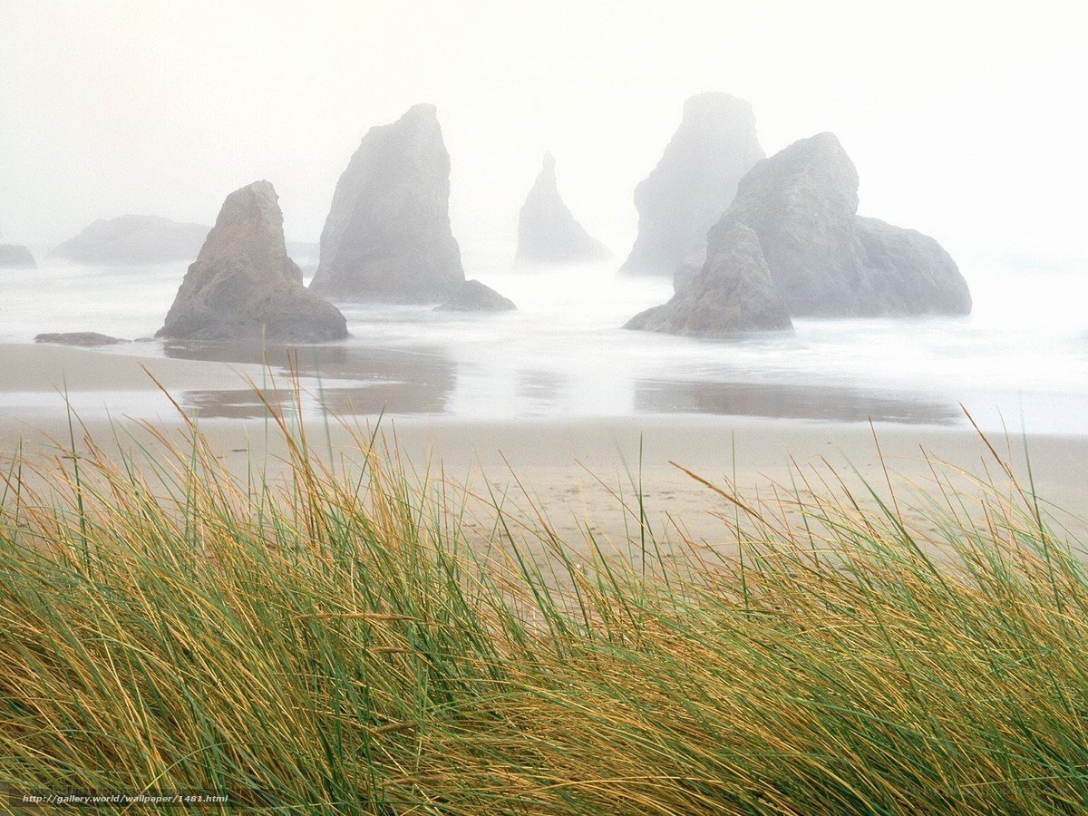 Foggy beach with sea stacks
