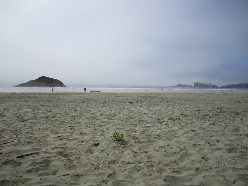 foggy beach with small island