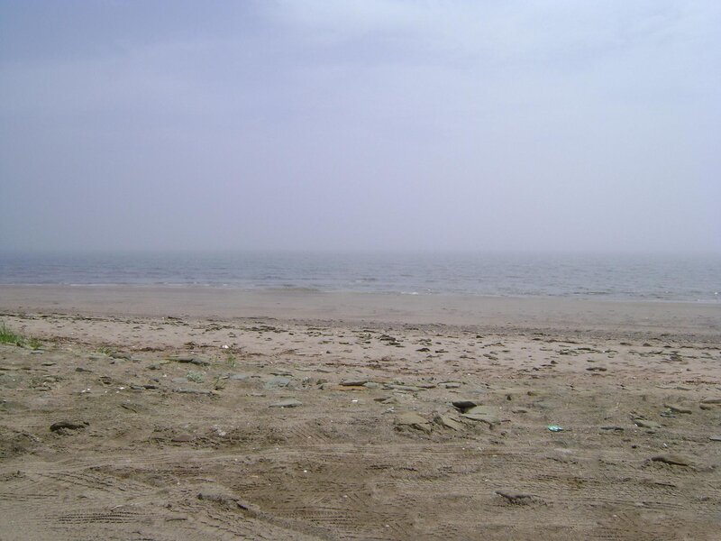 foggy beach with tire tracks