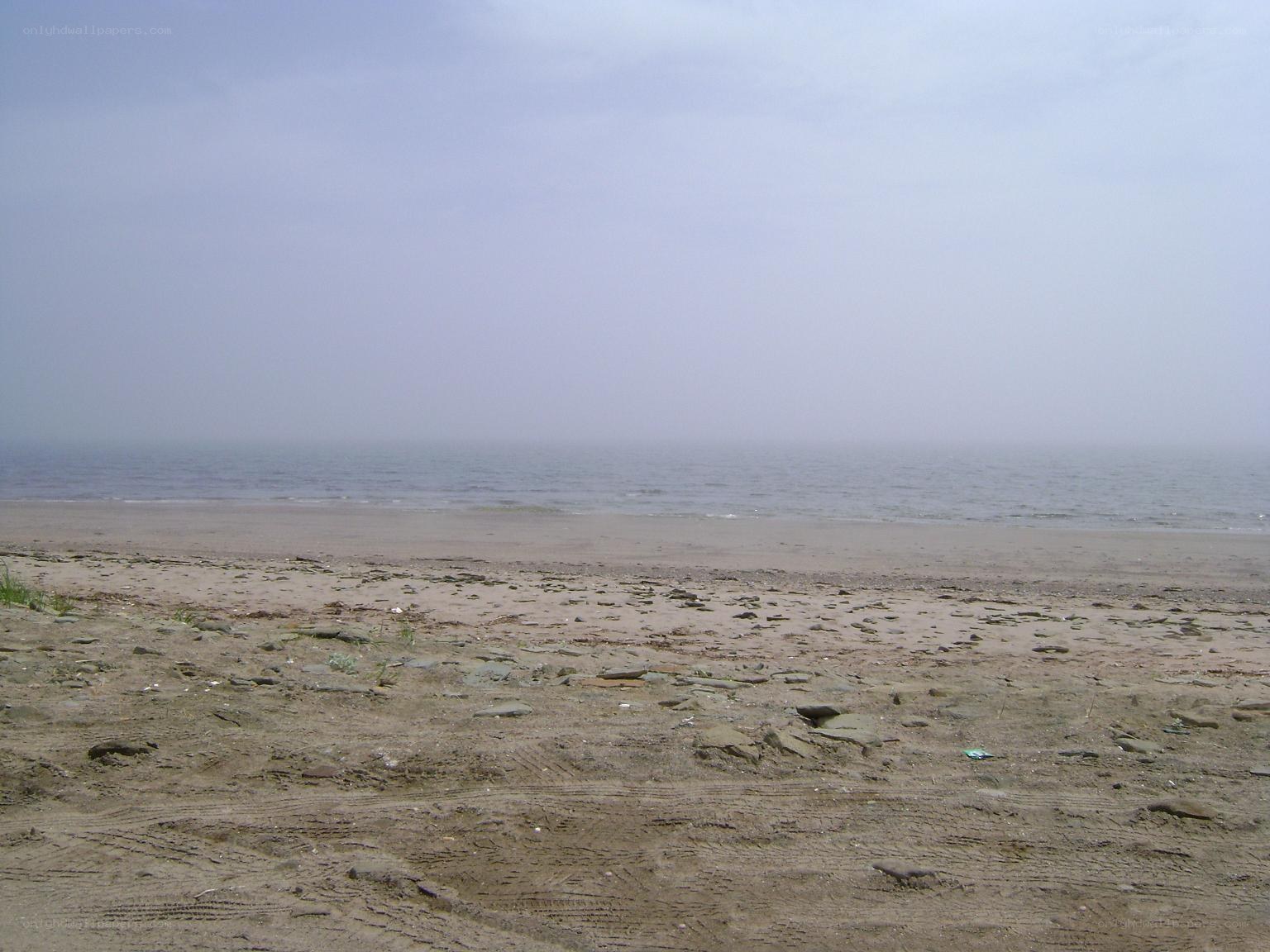 foggy beach with tire tracks