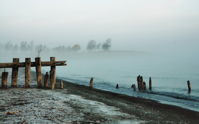 Foggy Beach with Wooden Posts — Gray