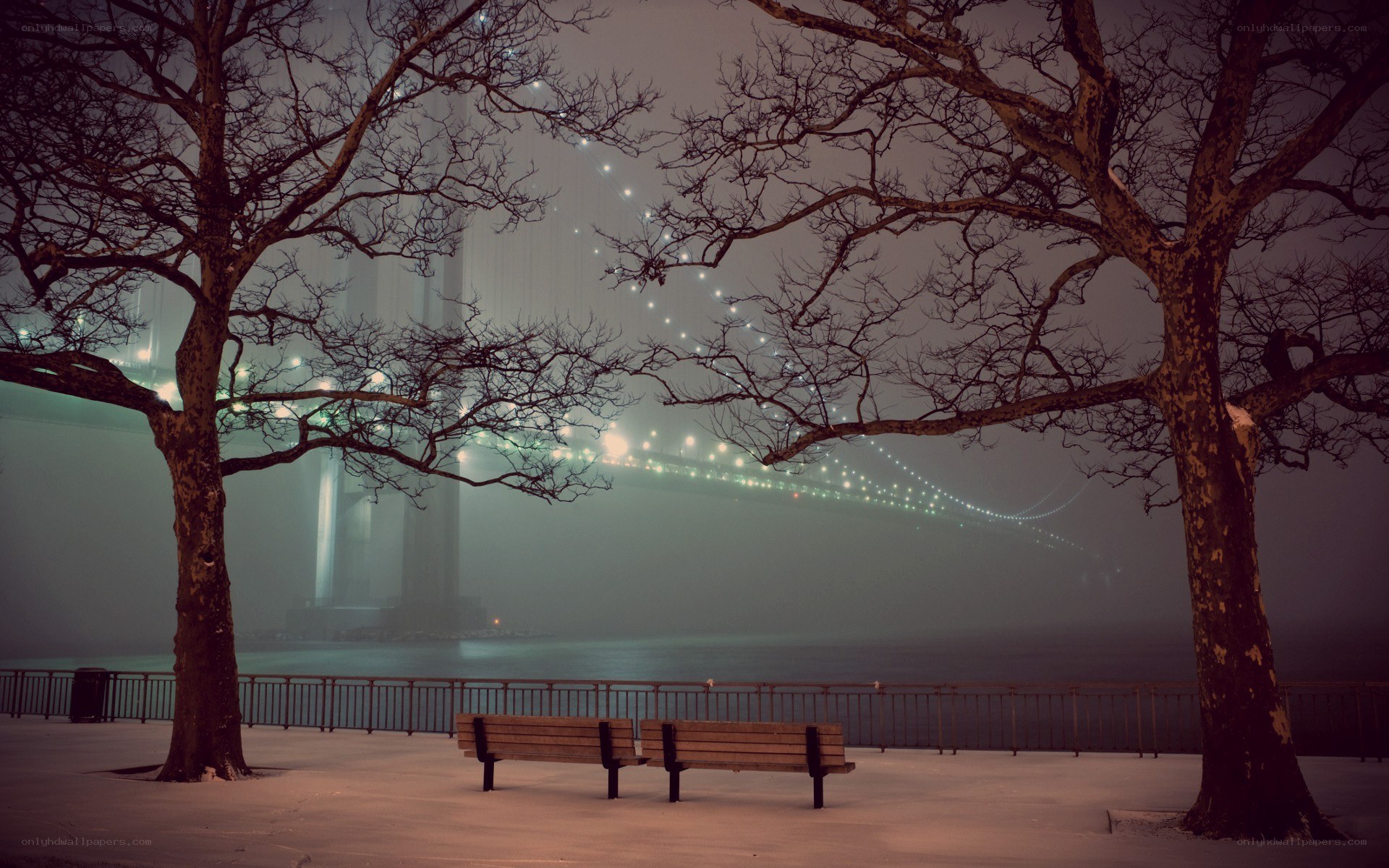 Foggy bridge at night