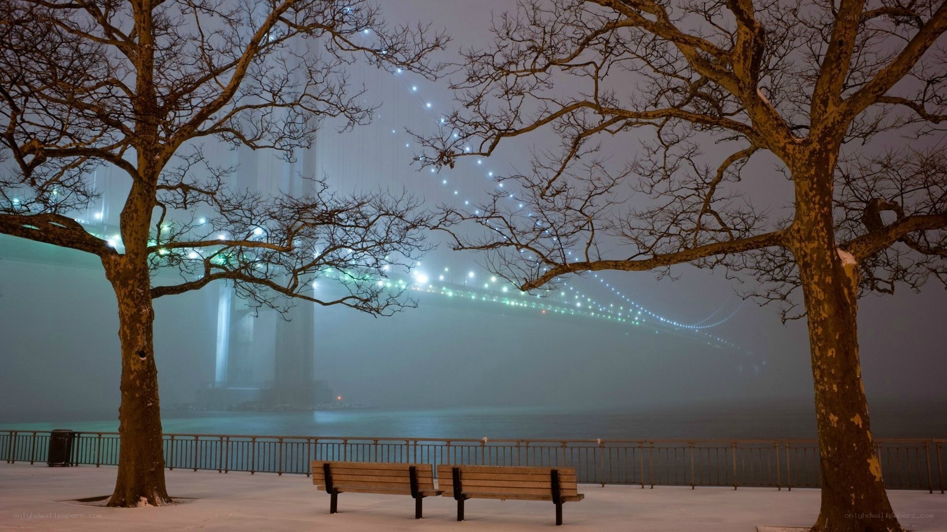 Foggy bridge at night