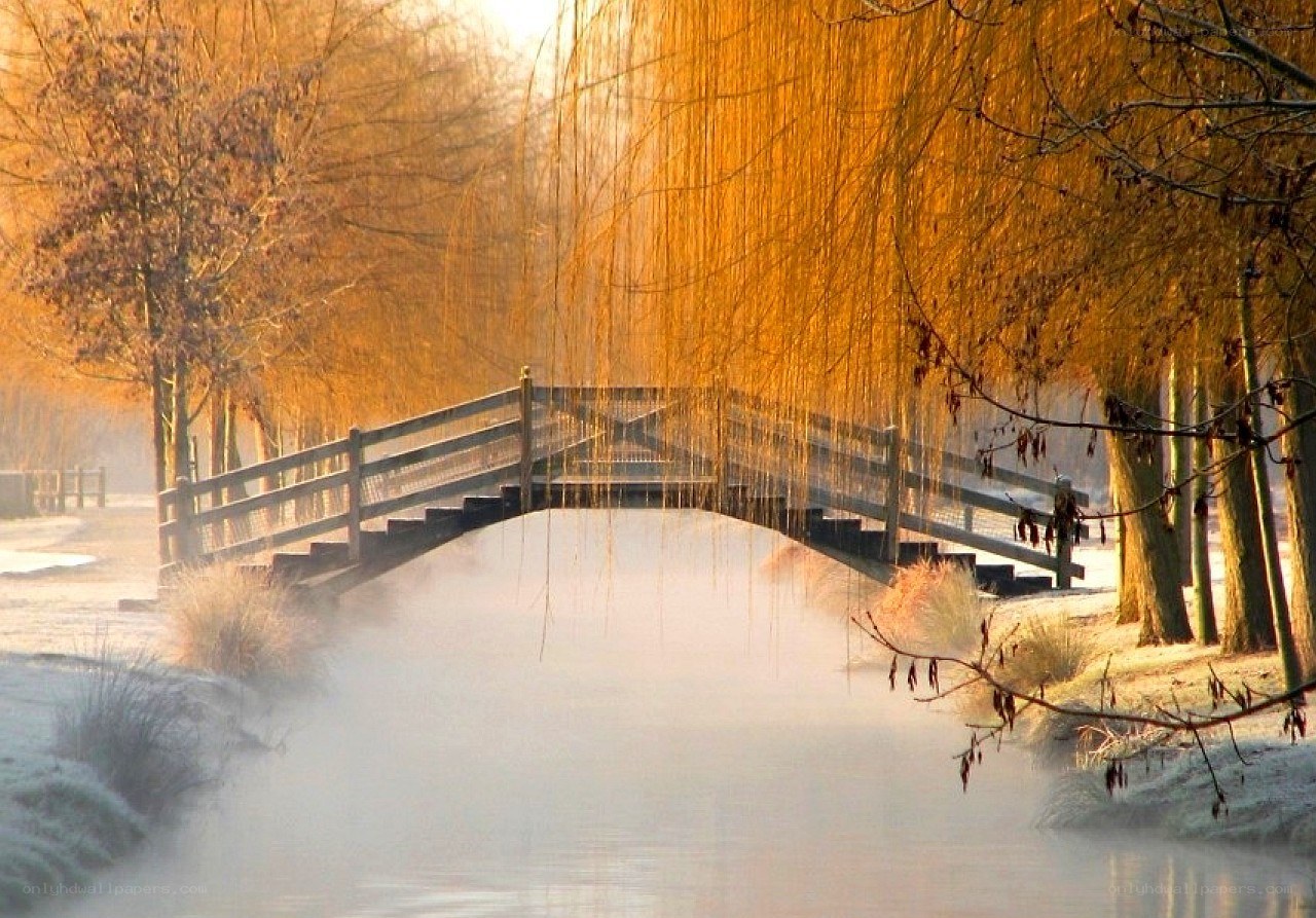 Foggy bridge in autumn