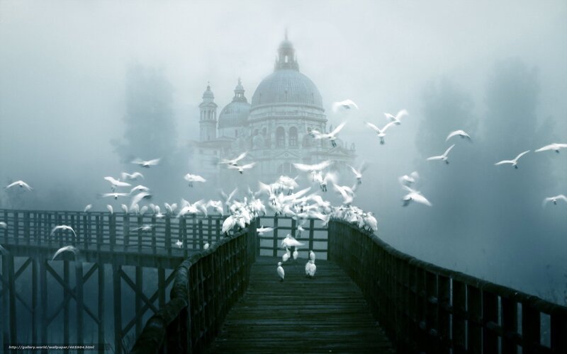 Foggy Bridge with Birds
