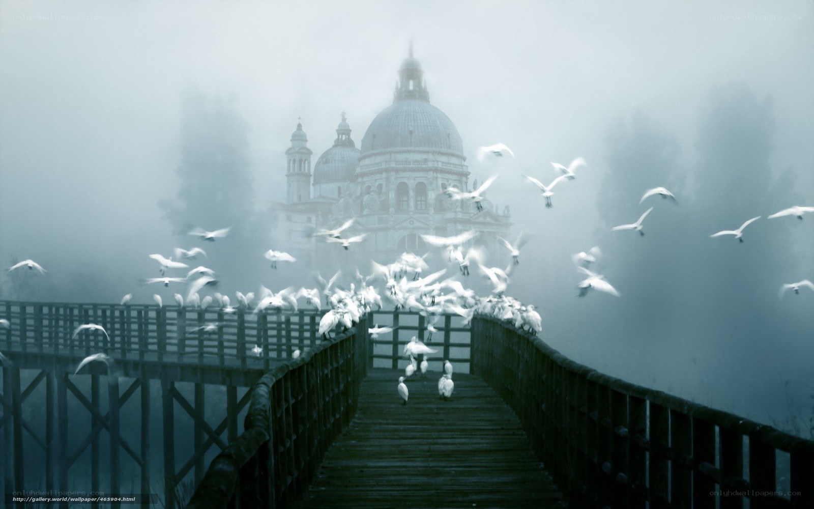 Foggy Bridge with Birds