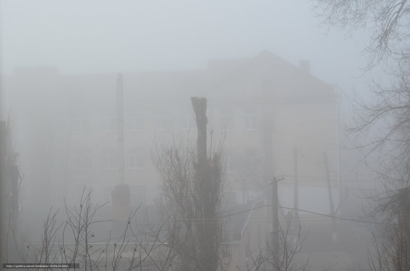 Foggy building in winter