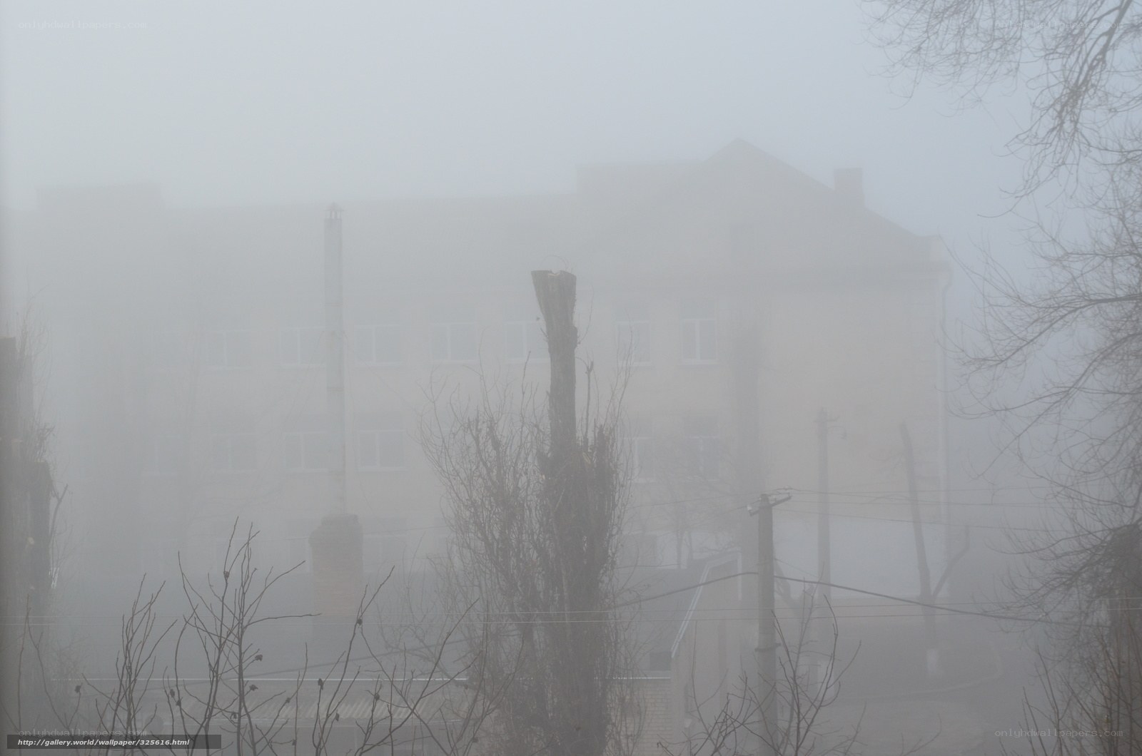 Foggy building in winter