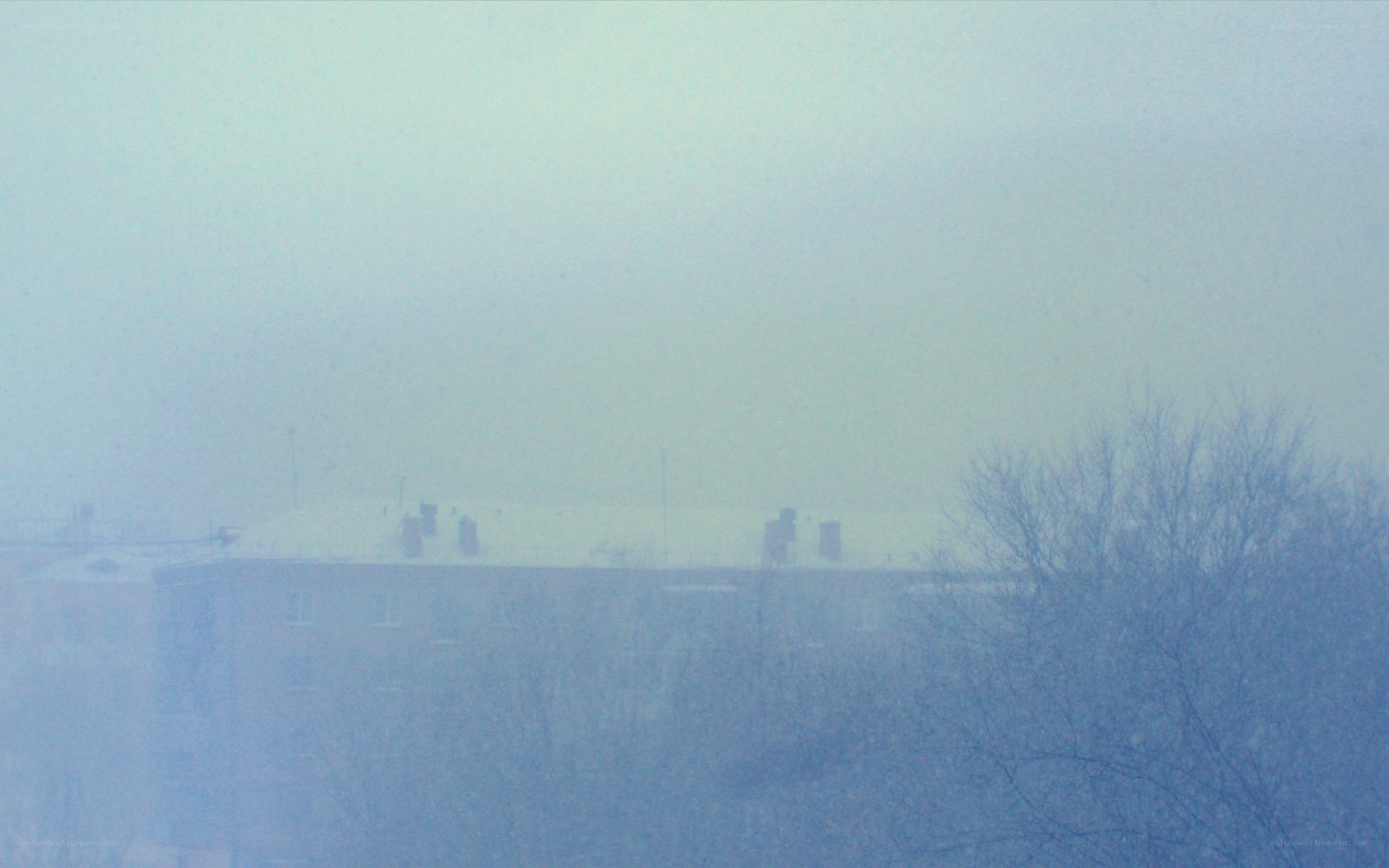 foggy building view