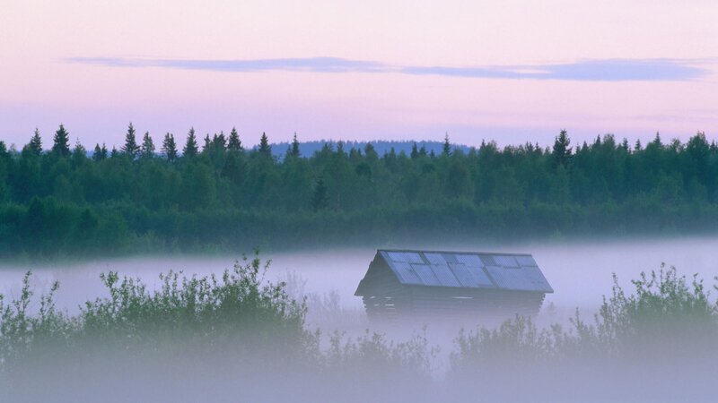 Foggy cabin at dawn