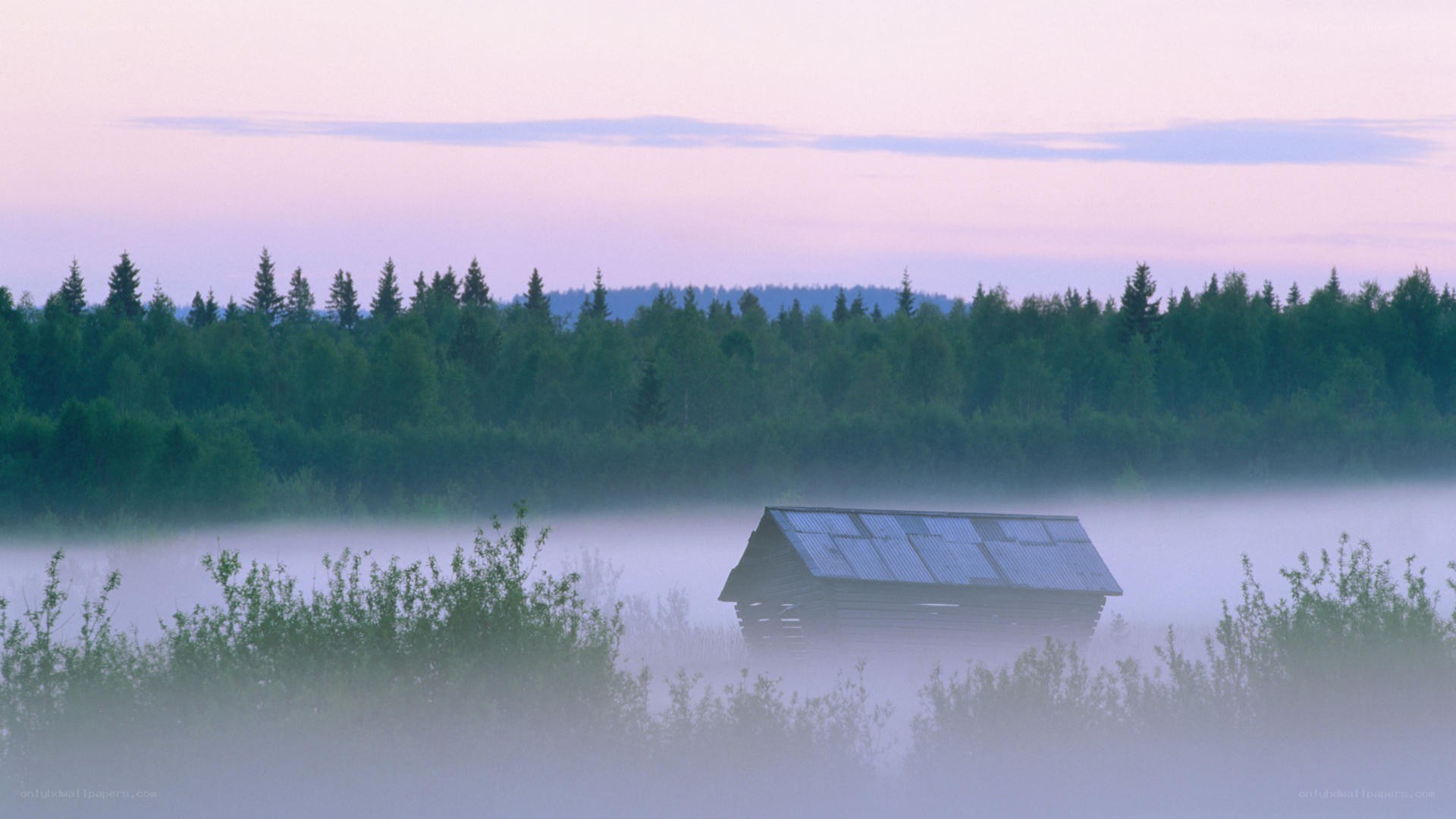 Foggy cabin at dawn