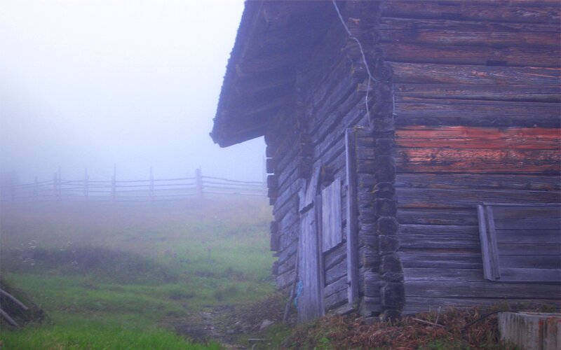 Foggy cabin in a misty field