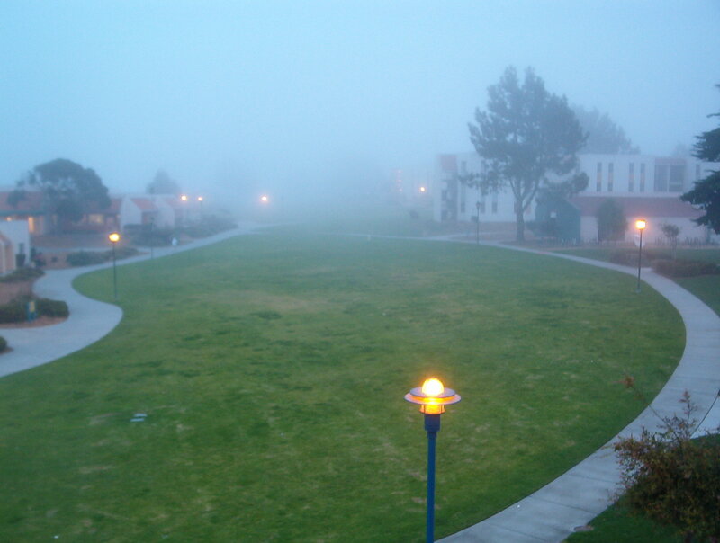 foggy campus lawn at dawn