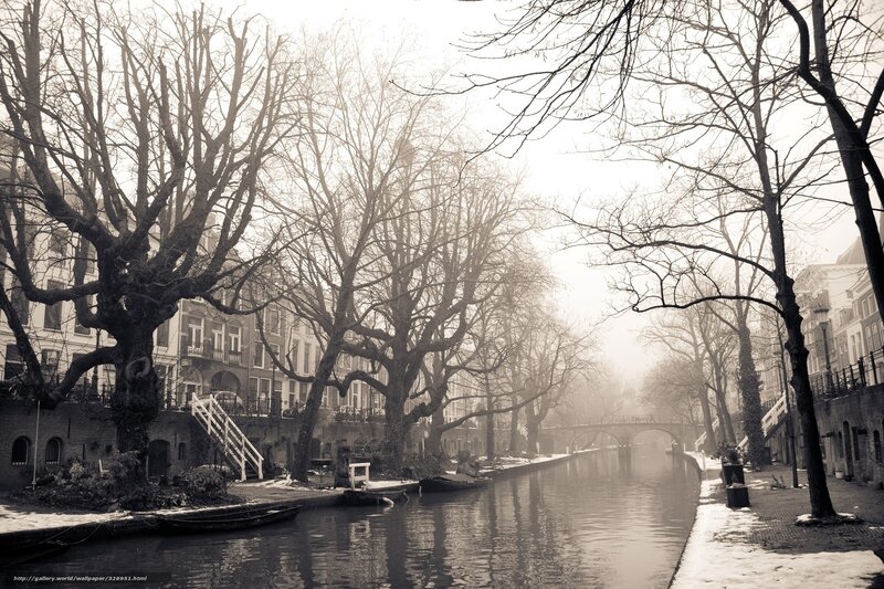Foggy canal in Amsterdam