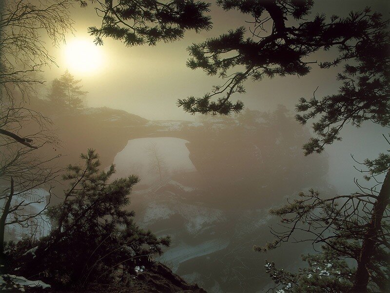 Foggy Canyon at Sunrise