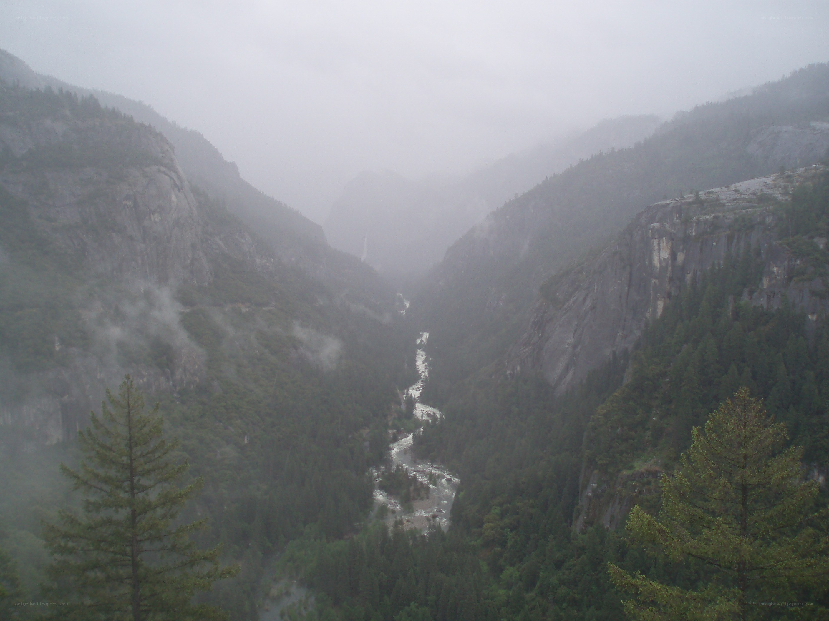 foggy canyon with river