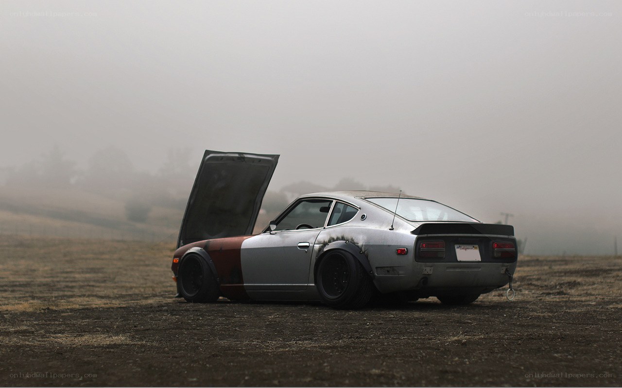 foggy car in a field