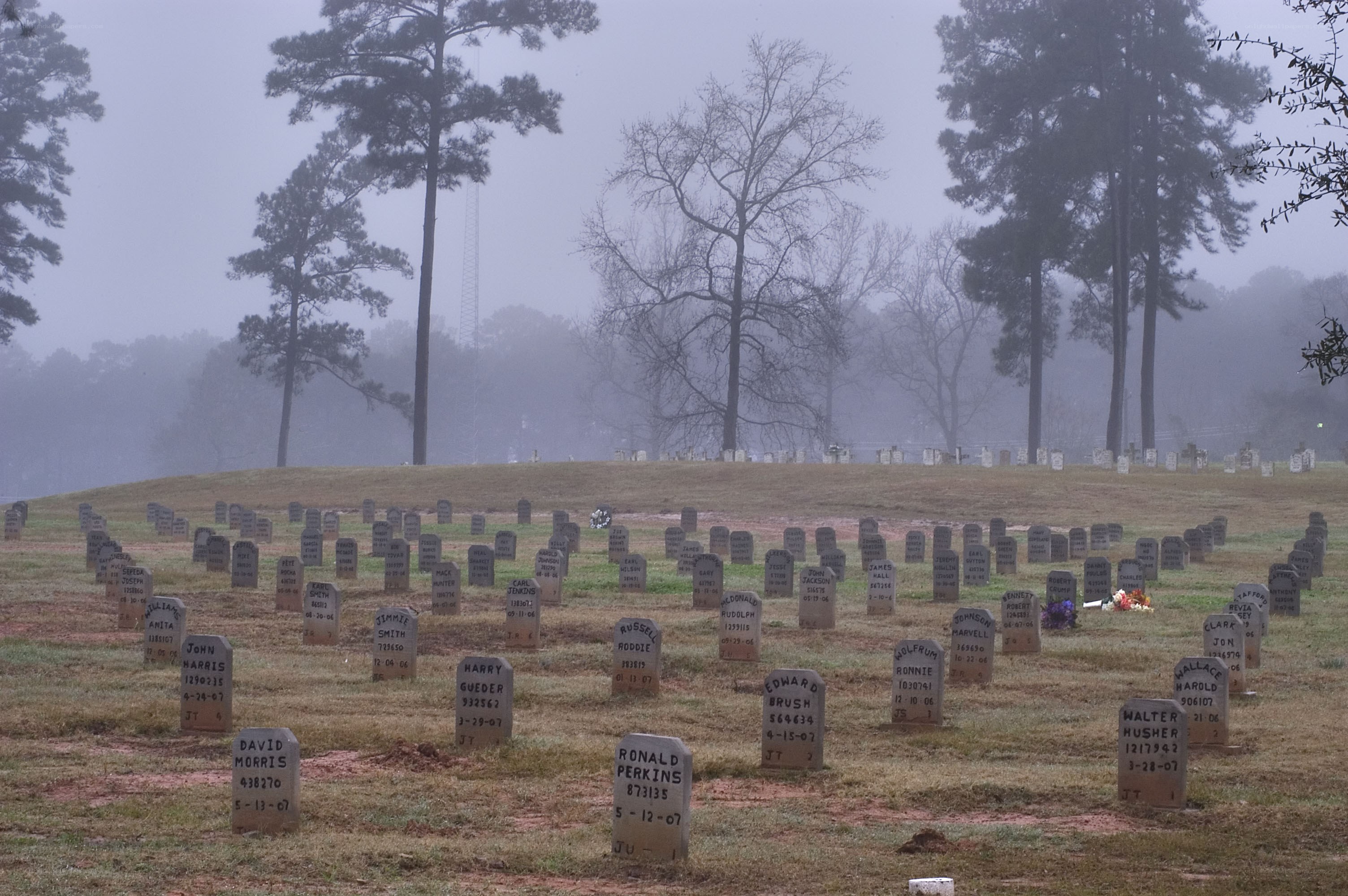 Foggy cemetery with gravestones