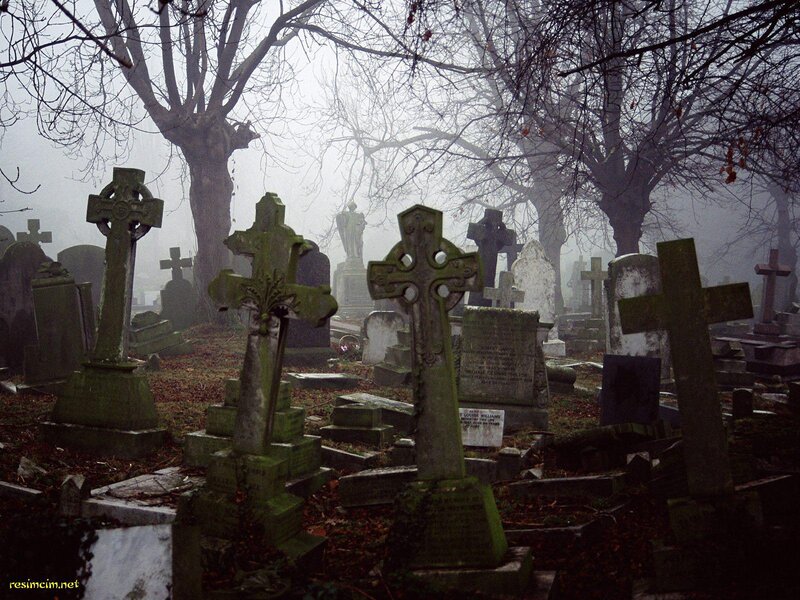 Foggy cemetery with old gravestones