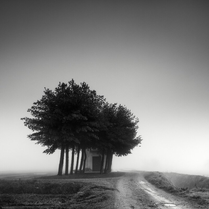 Foggy chapel under trees