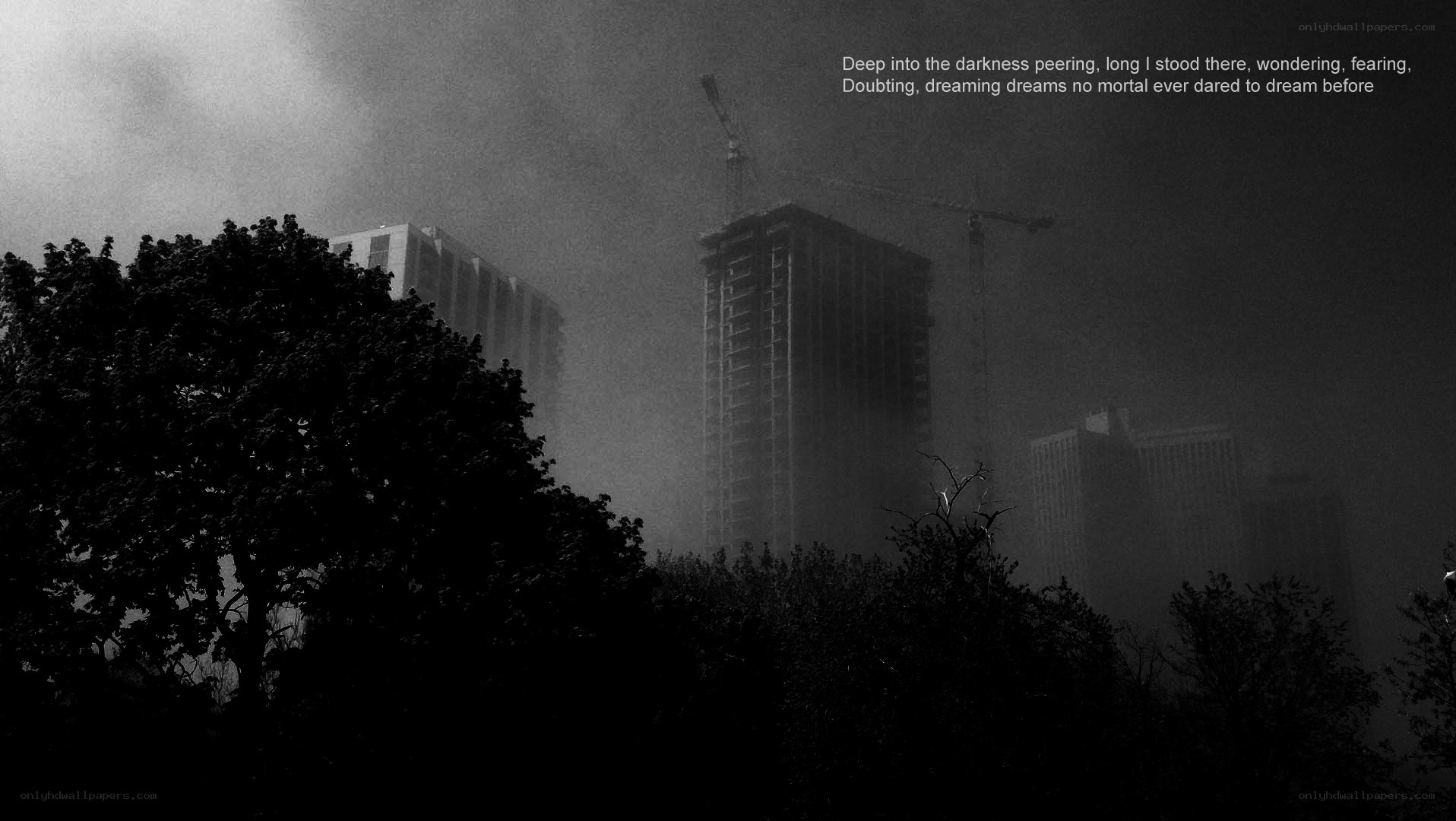 Foggy City at Dusk