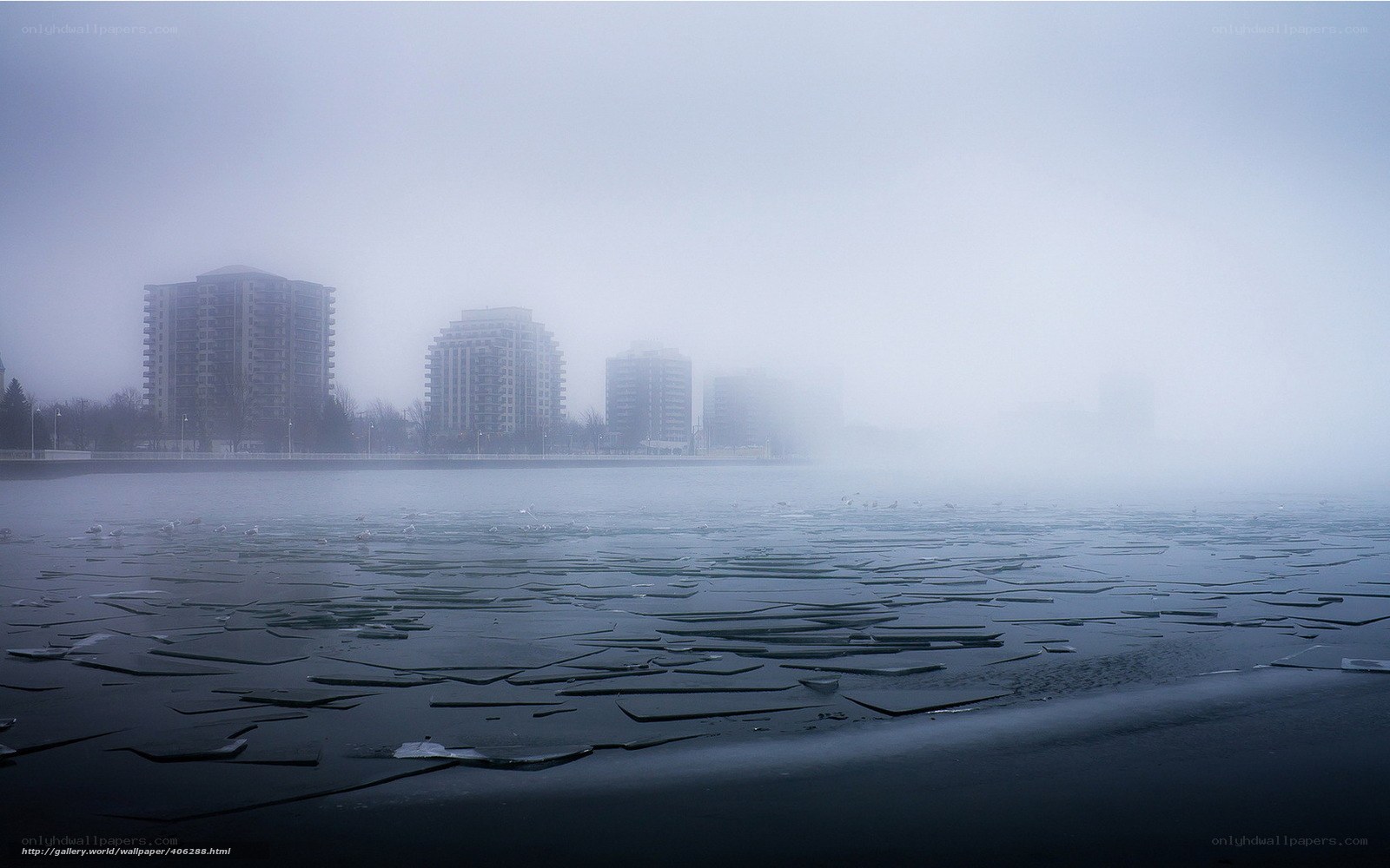 Foggy city by frozen water