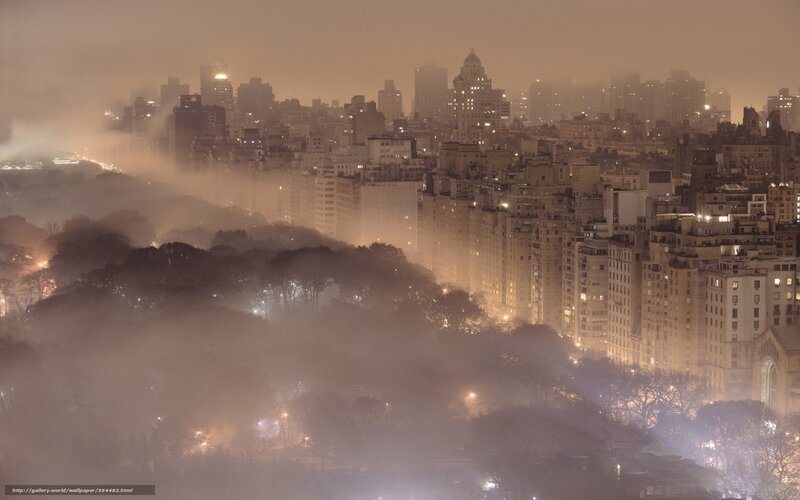 Foggy city skyline at night