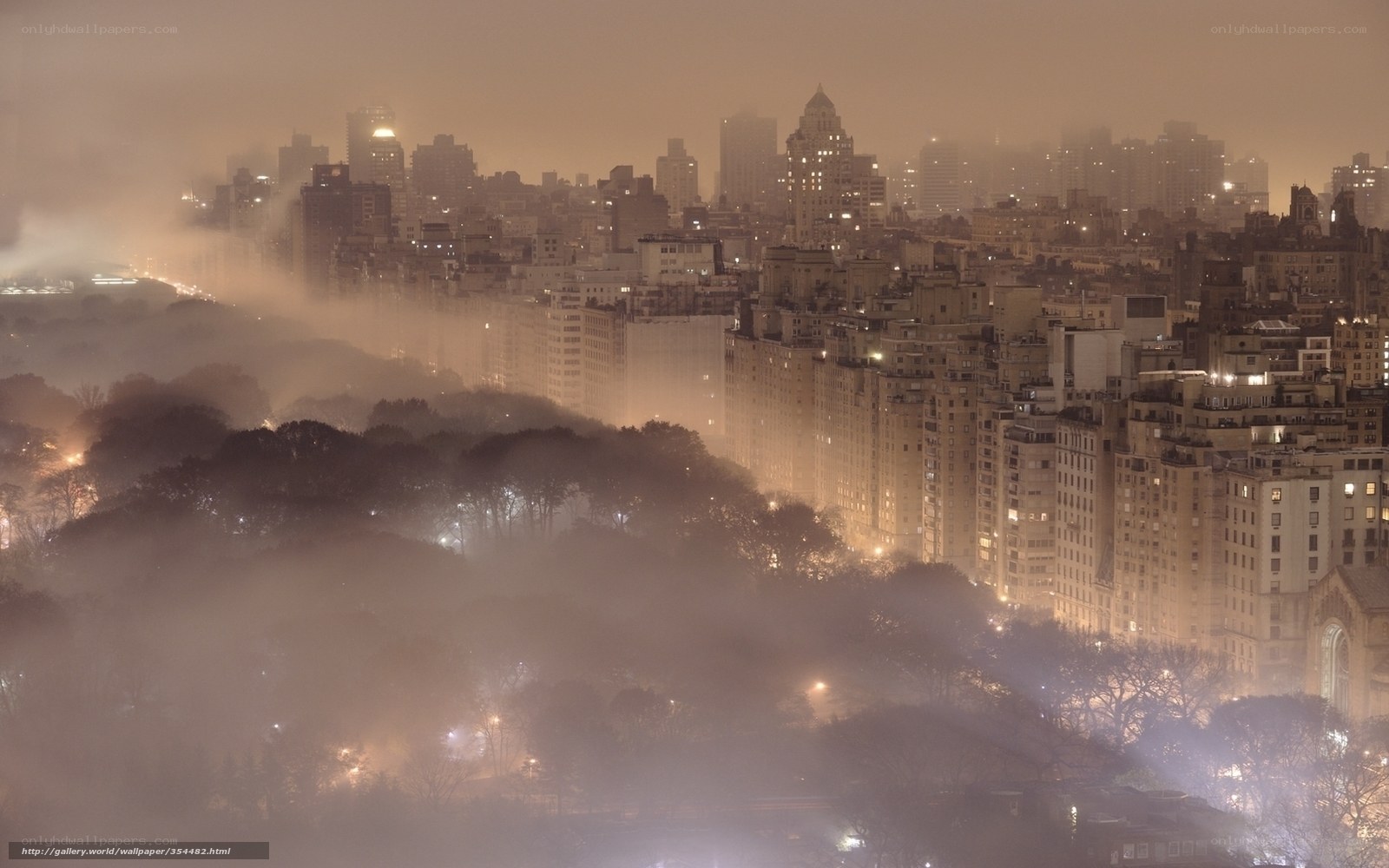 Foggy city skyline at night