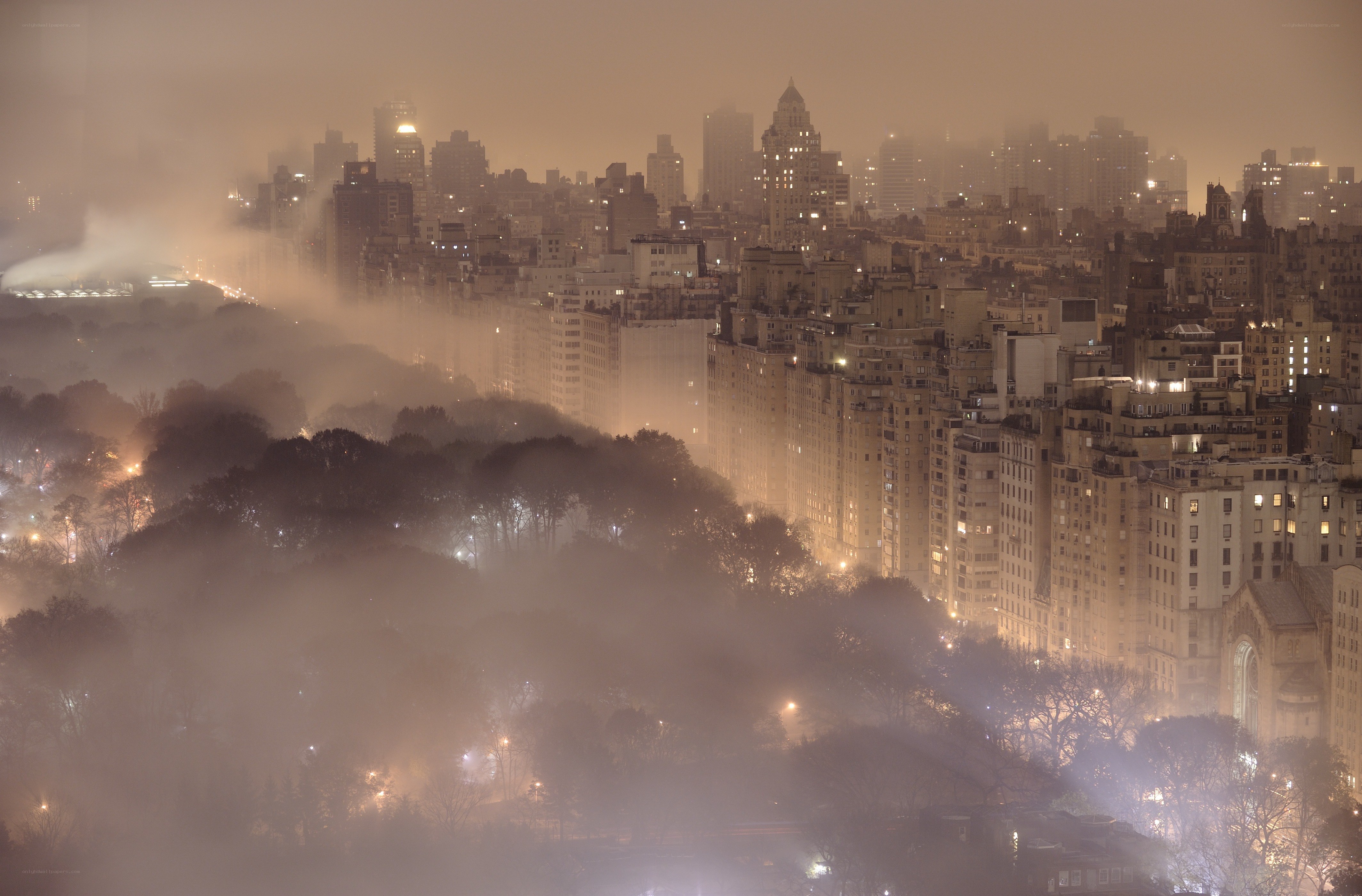 Foggy cityscape at night