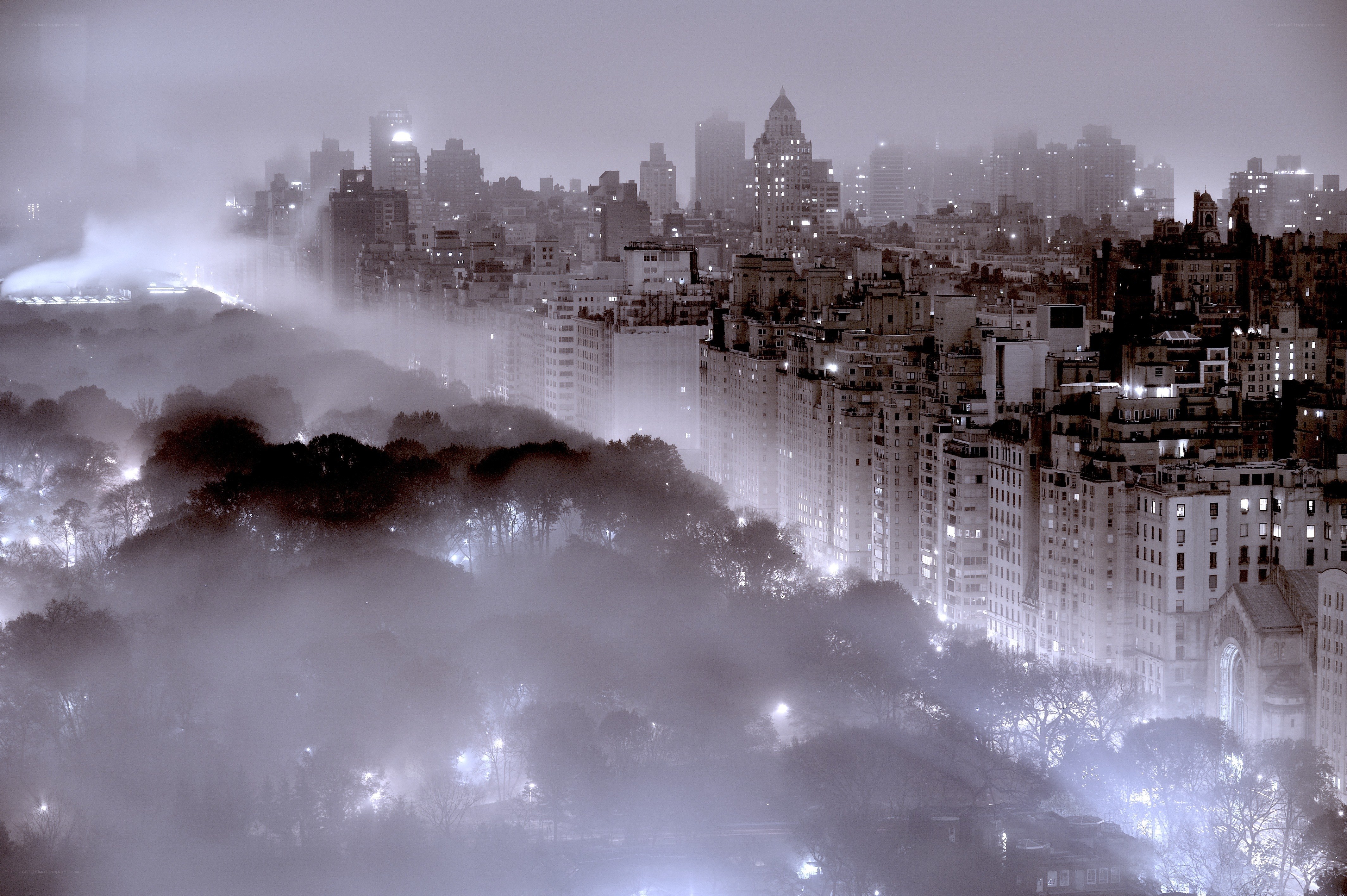 foggy cityscape at night
