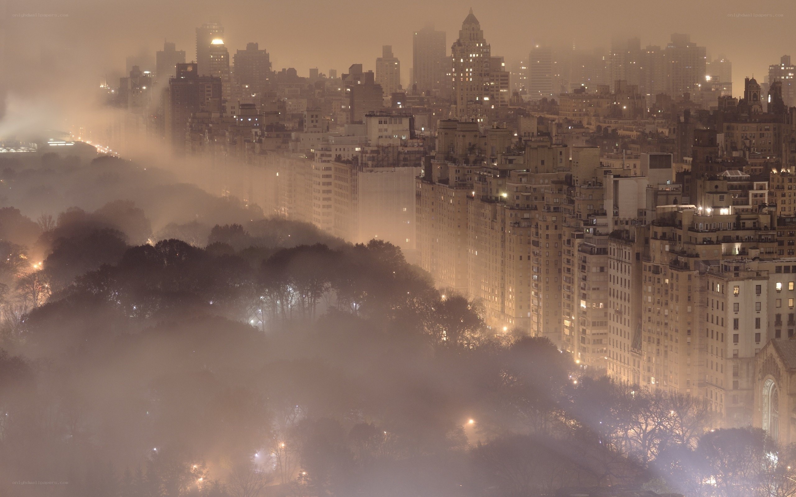 foggy cityscape at night