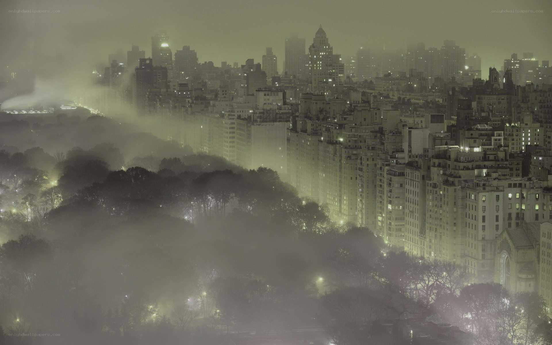 foggy cityscape at night