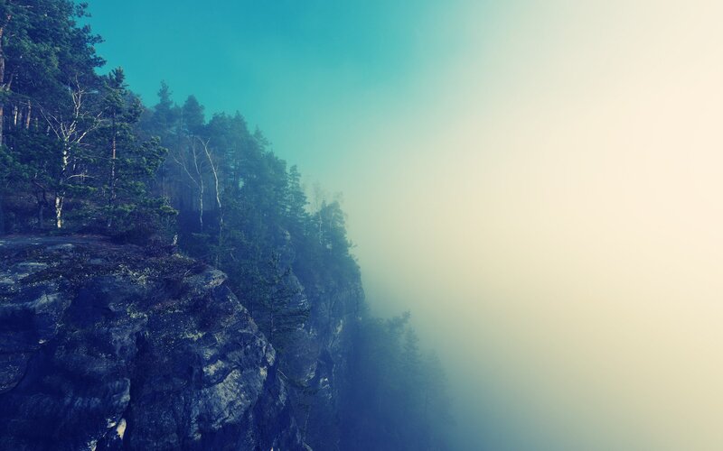 Foggy cliffside forest view