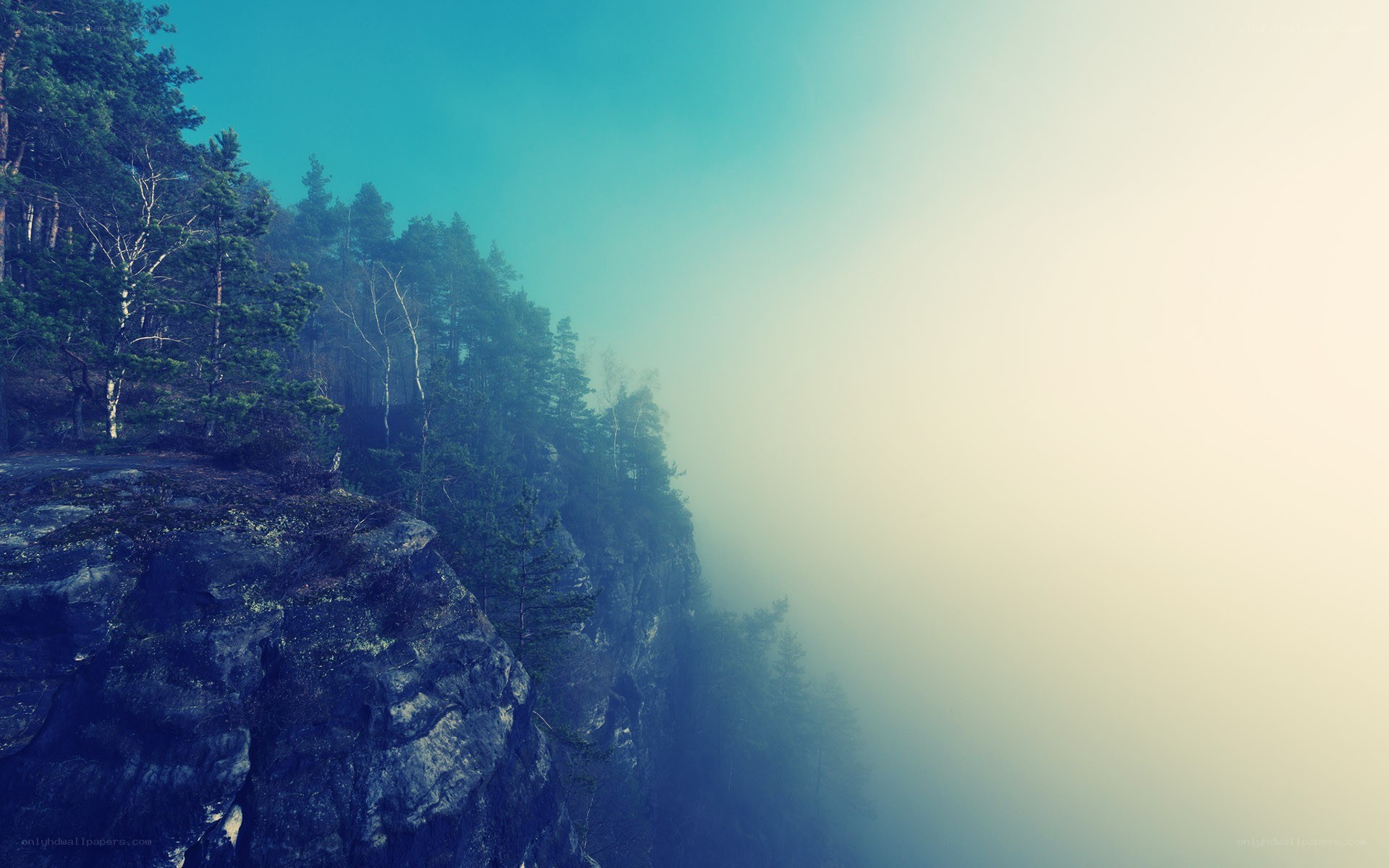 Foggy cliffside forest view