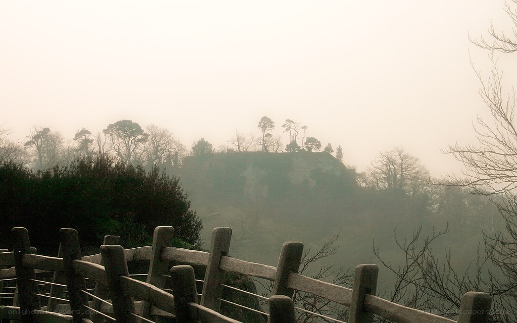 Foggy cliffside view