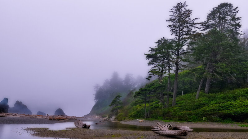 Foggy Coastal Beach