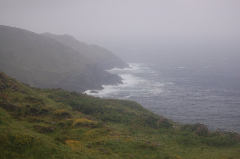 foggy coastal cliffs