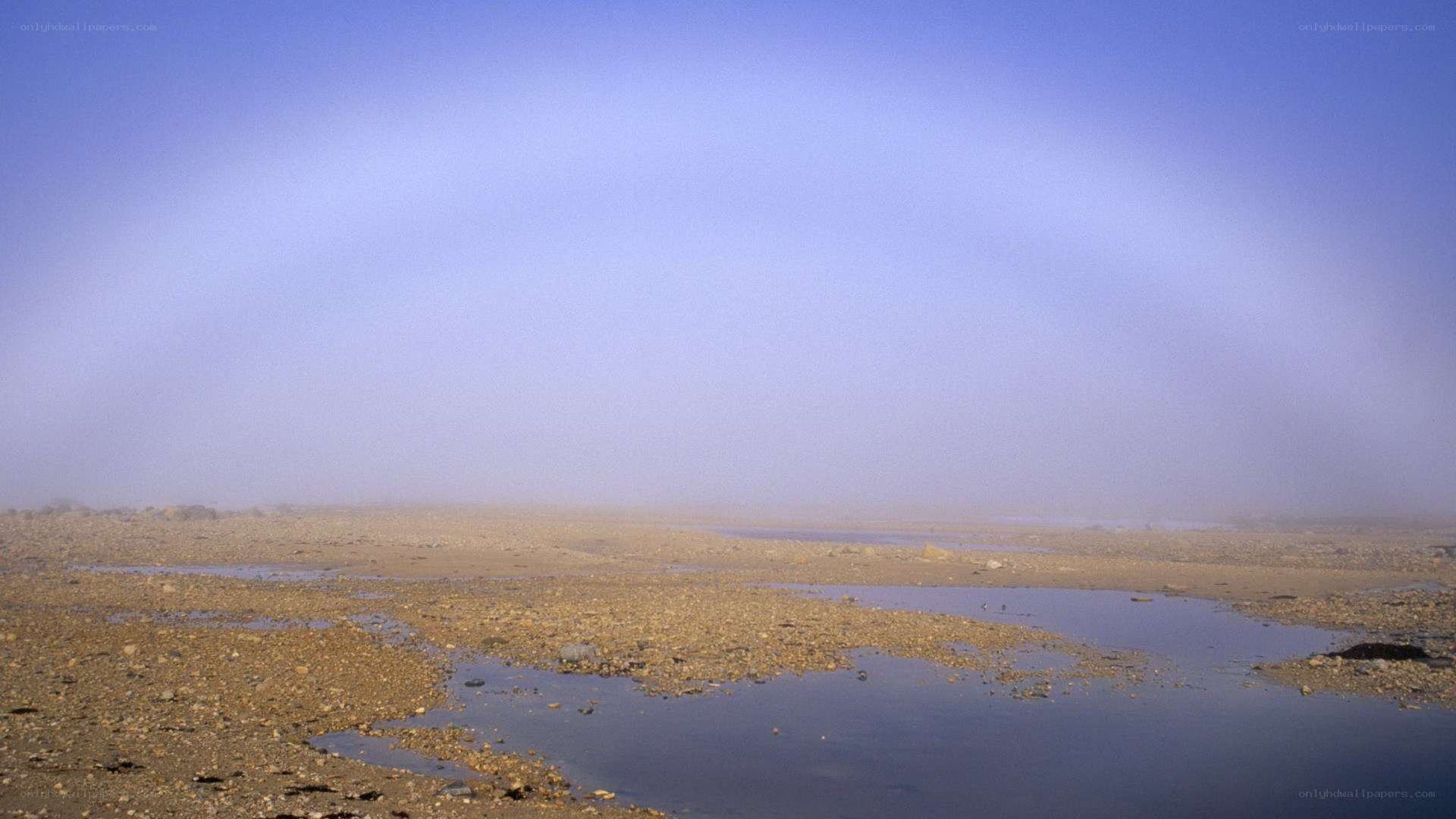 foggy coastal landscape
