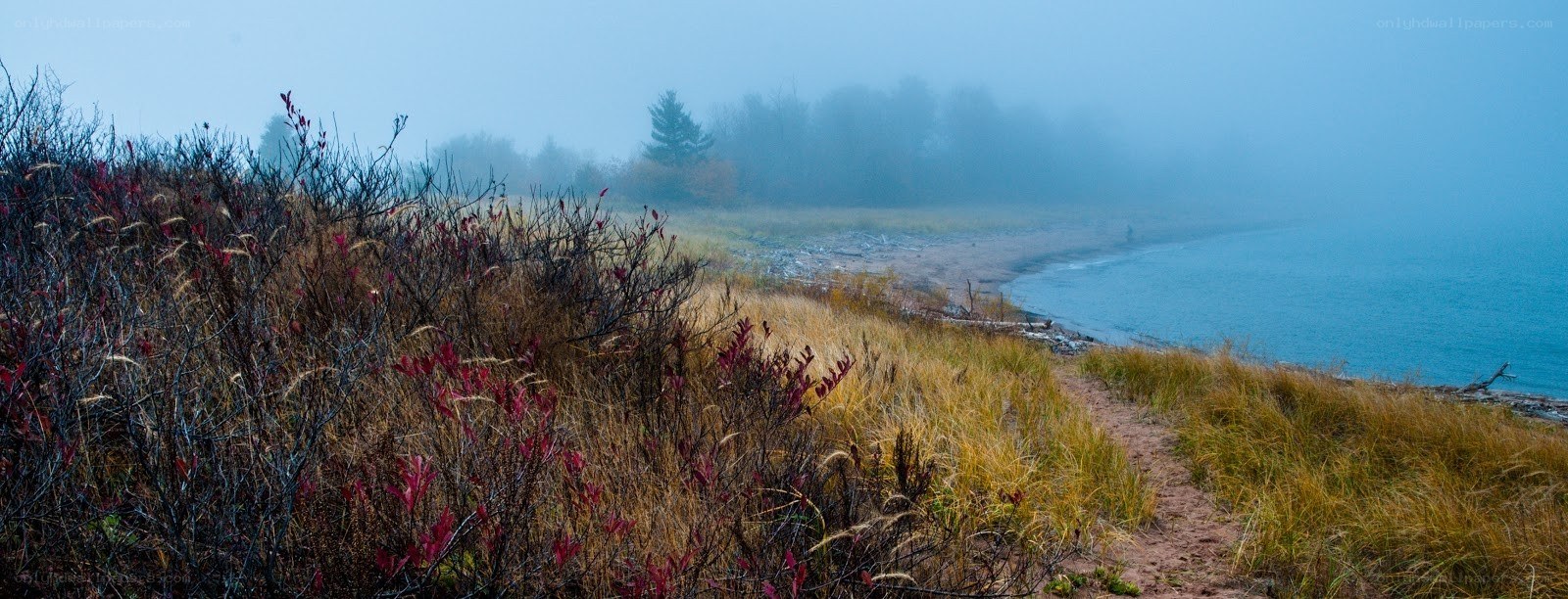 Foggy coastal path at dawn