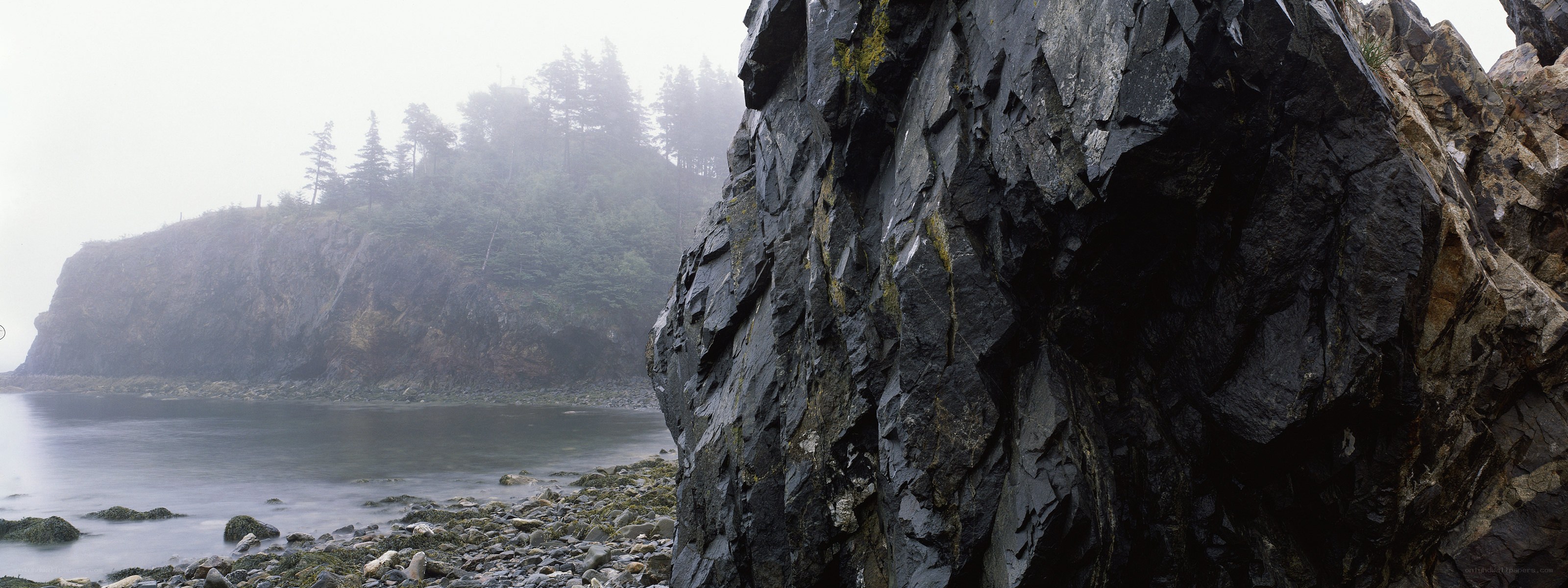 foggy coastal rock formation