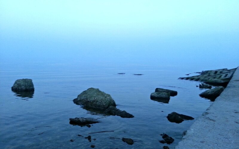 Foggy coastal rocks at dawn
