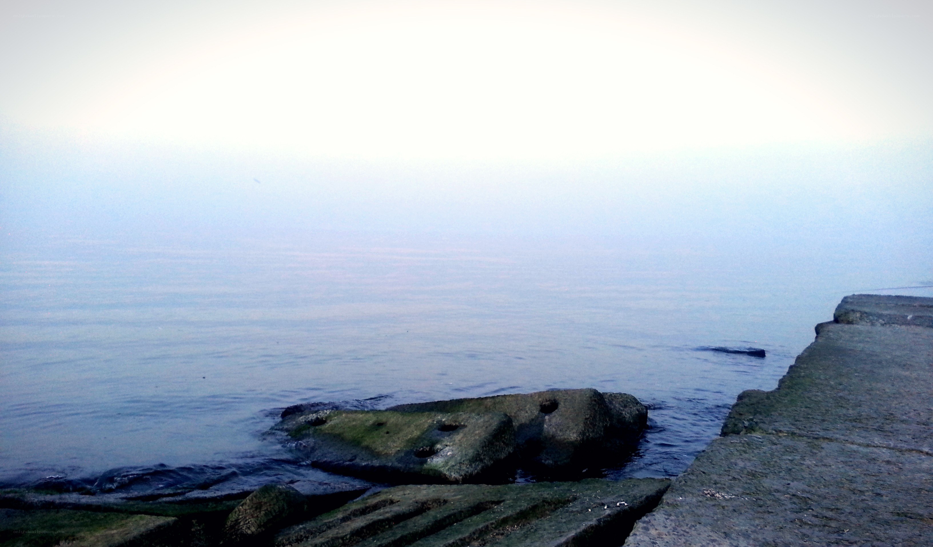 Foggy coastal rocks