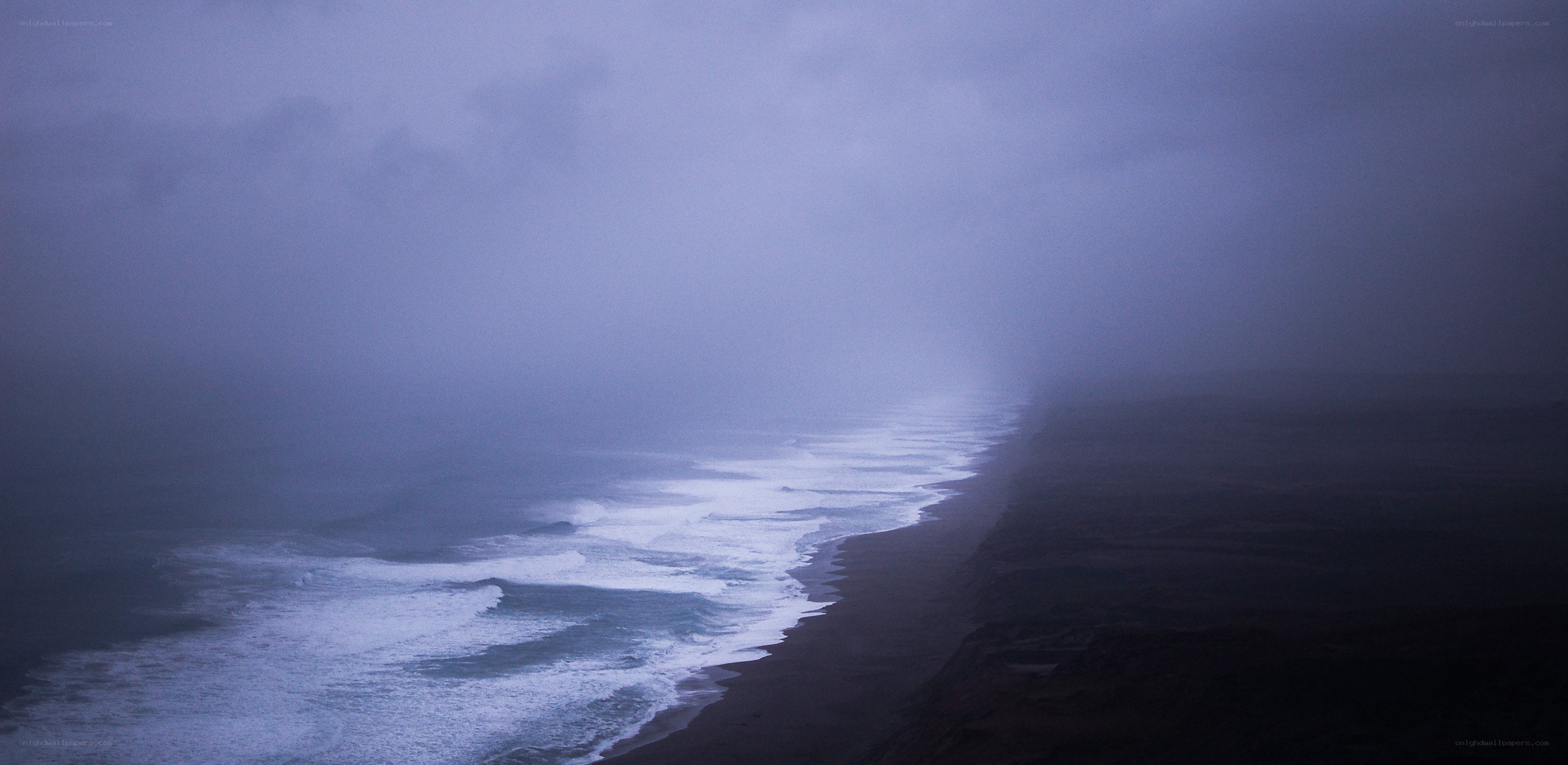 foggy coastal shoreline