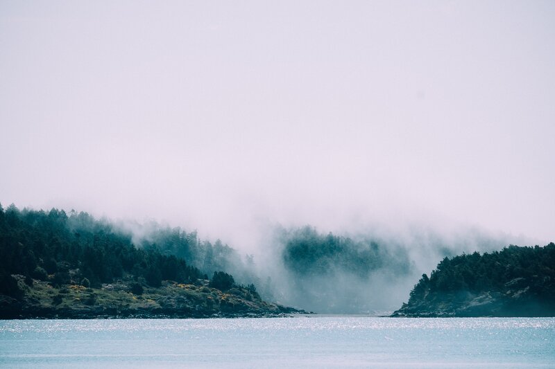 Foggy Coastline with Water
