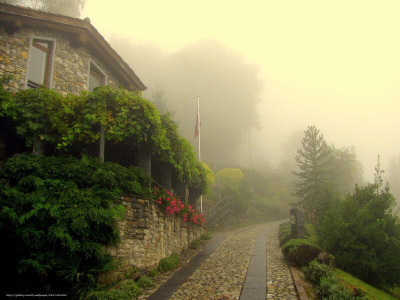 Foggy cobblestone path