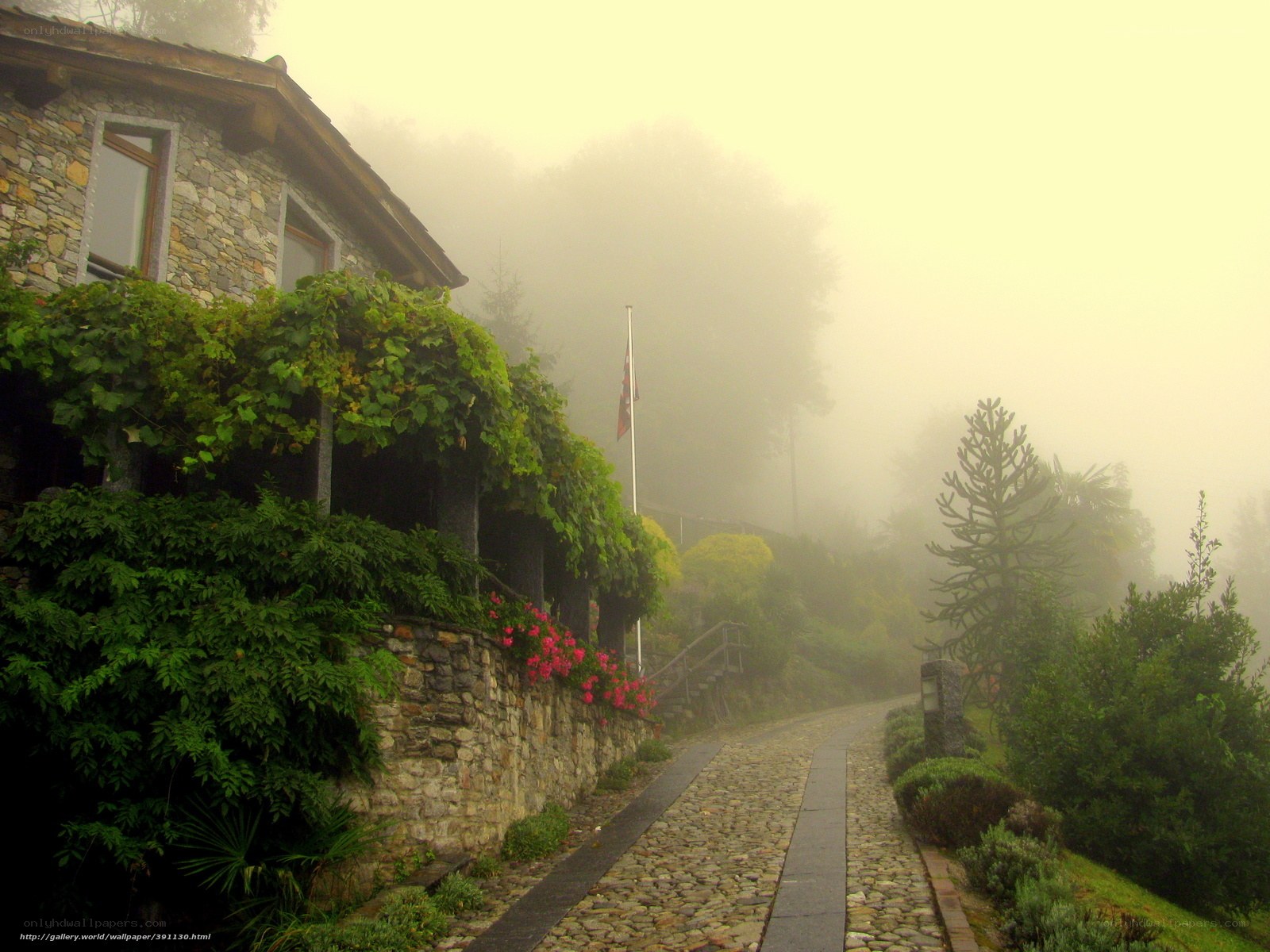 Foggy cobblestone path