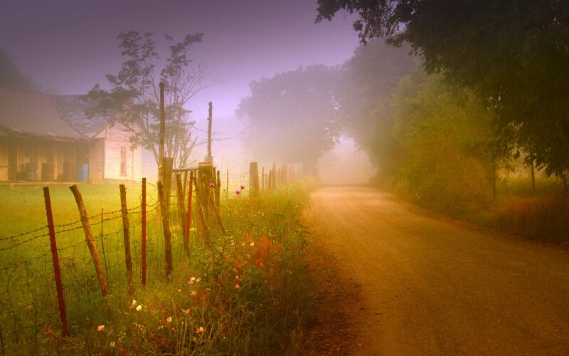 Foggy country road at dawn