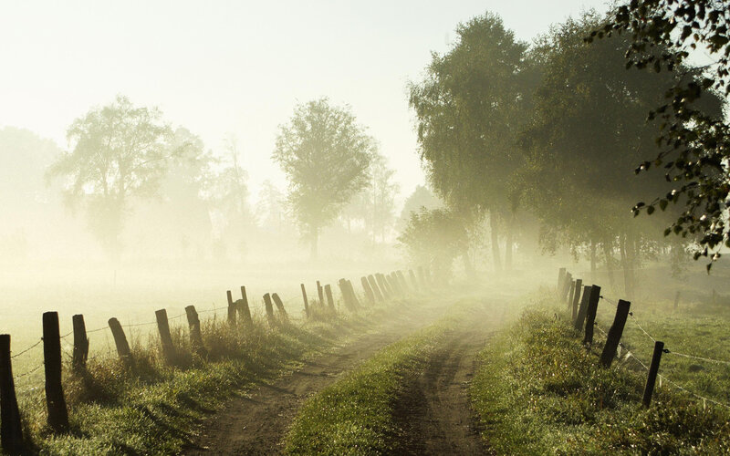 Foggy country road at dawn