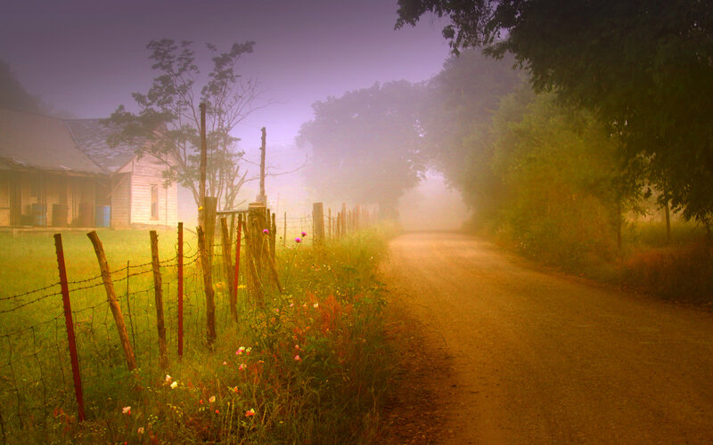 Foggy country road at dawn